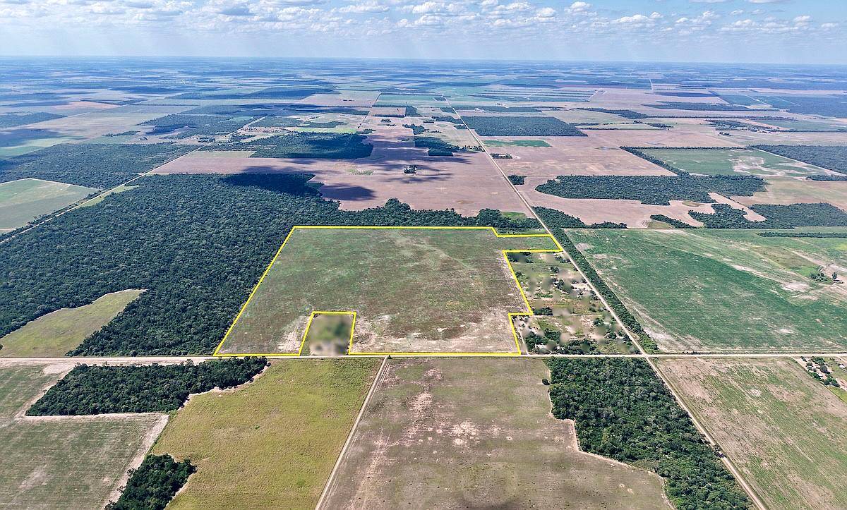 80 Has en Venta - Pcia del Chaco, Campo Largo