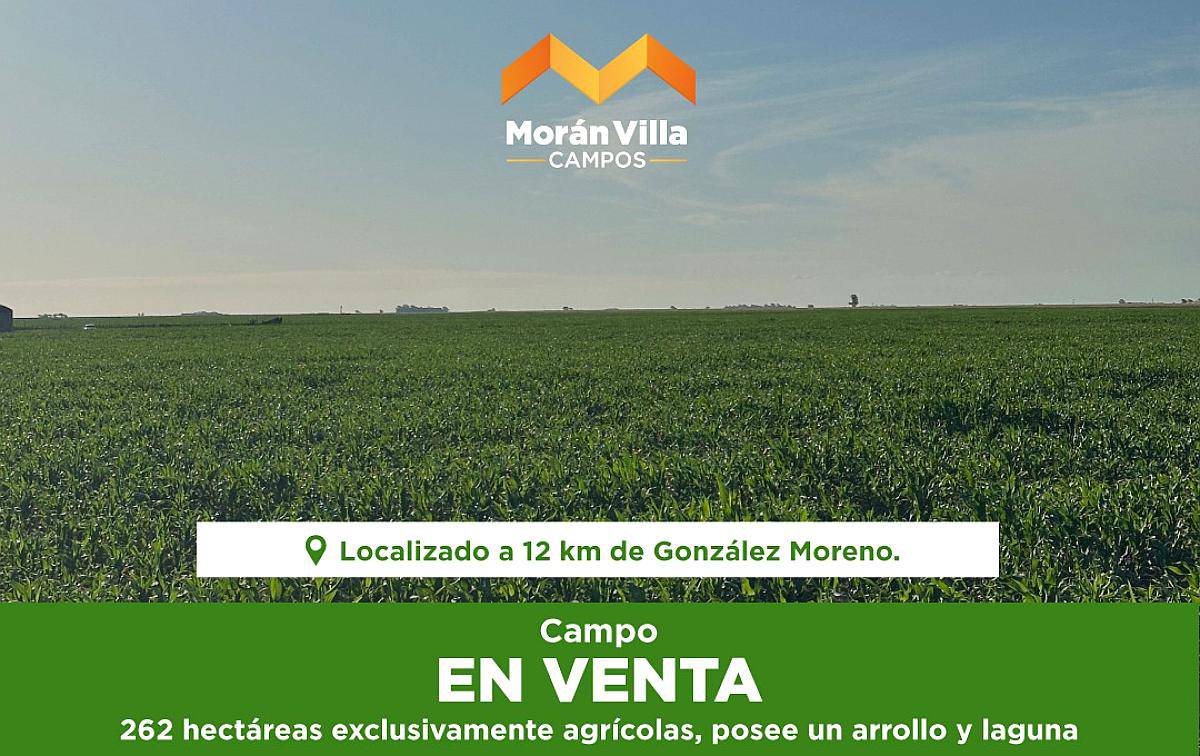 262 Ha a 12 km de González Moreno, Provincia de Buenos Aires