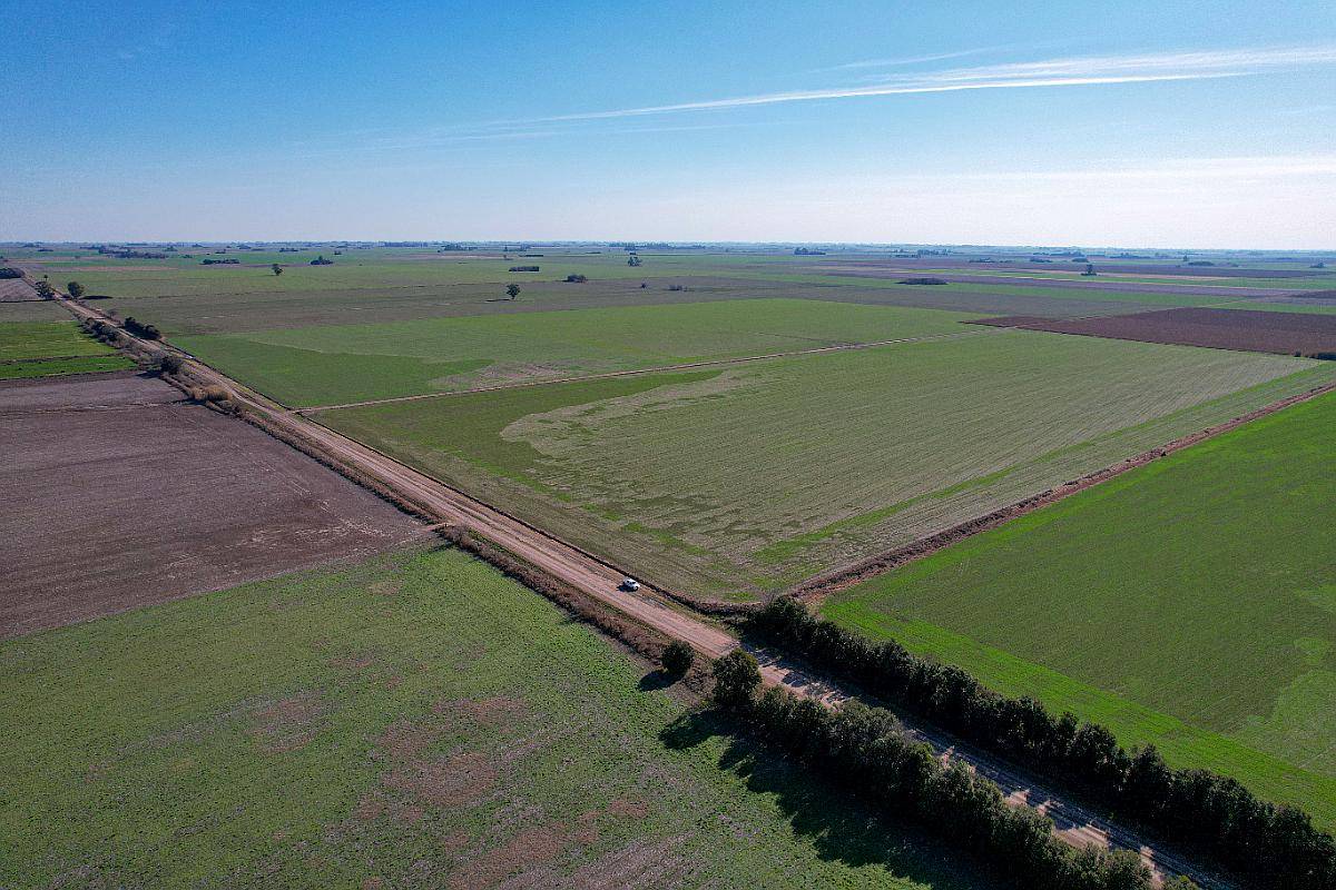 54 Ha en Acebal Campo 100% Agrícola