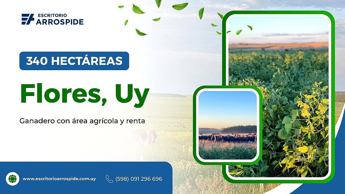 Campo en Venta Uruguay, Flores