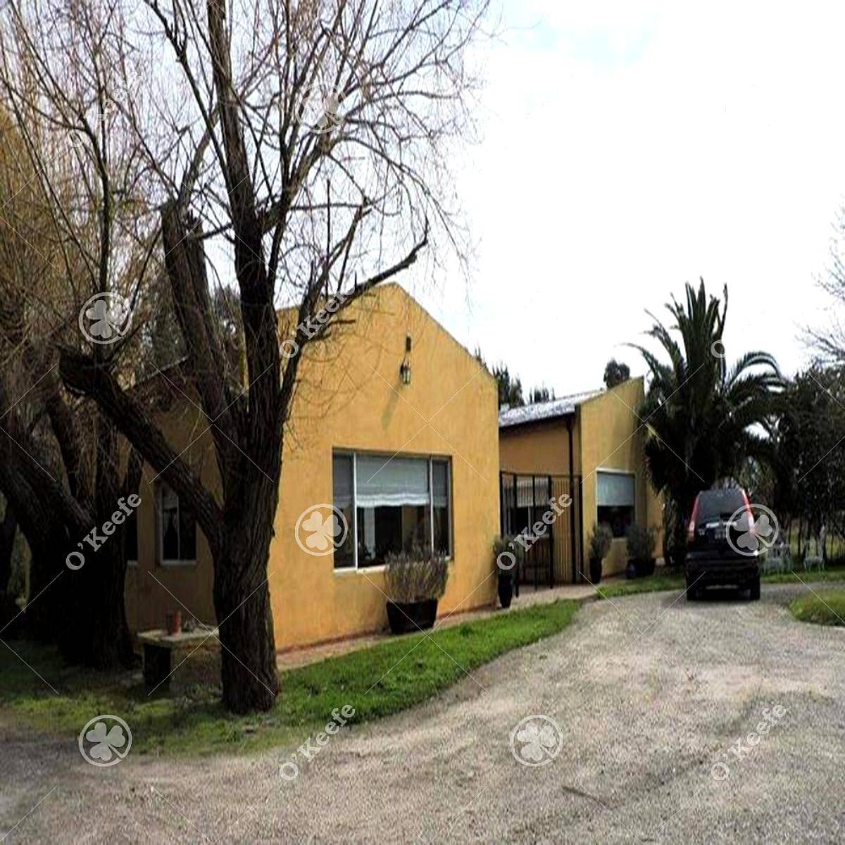 Campo en Venta 77 Has en Veronica