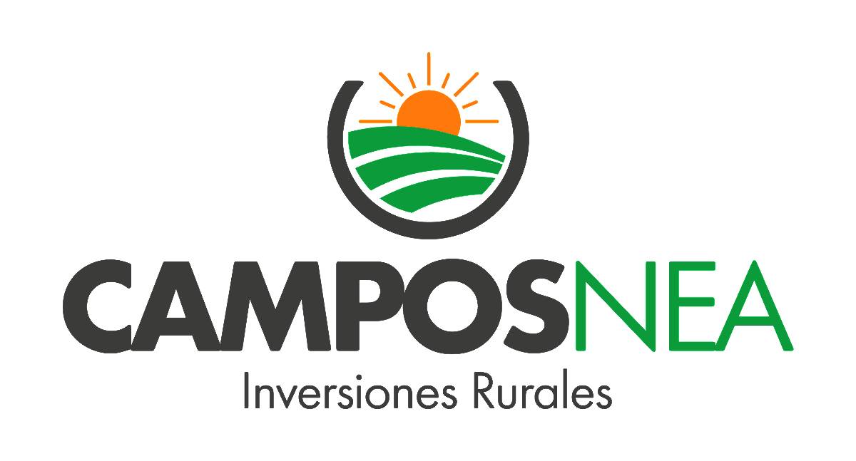 Campo Ganadero en Venta 419 Has S/ruta 3 - Bermejito