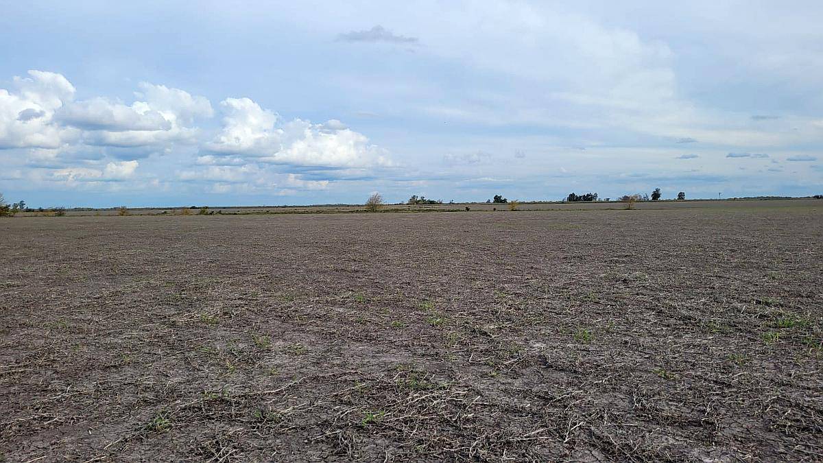 Vendo Campos en Zona Entre Ríos Totalmente Agrícola Contacto - Agroads