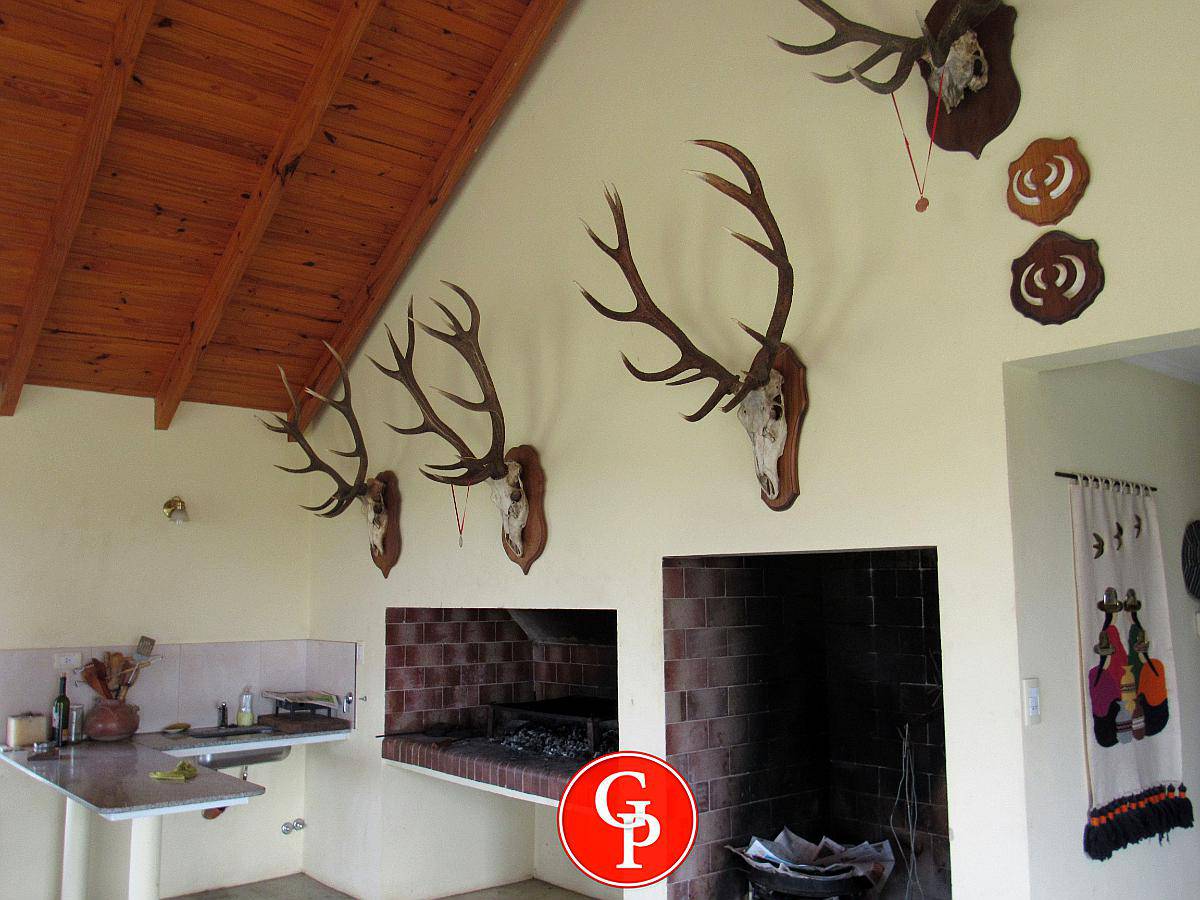 En Venta 1430 HA. en Bernasconi la Pampa.-