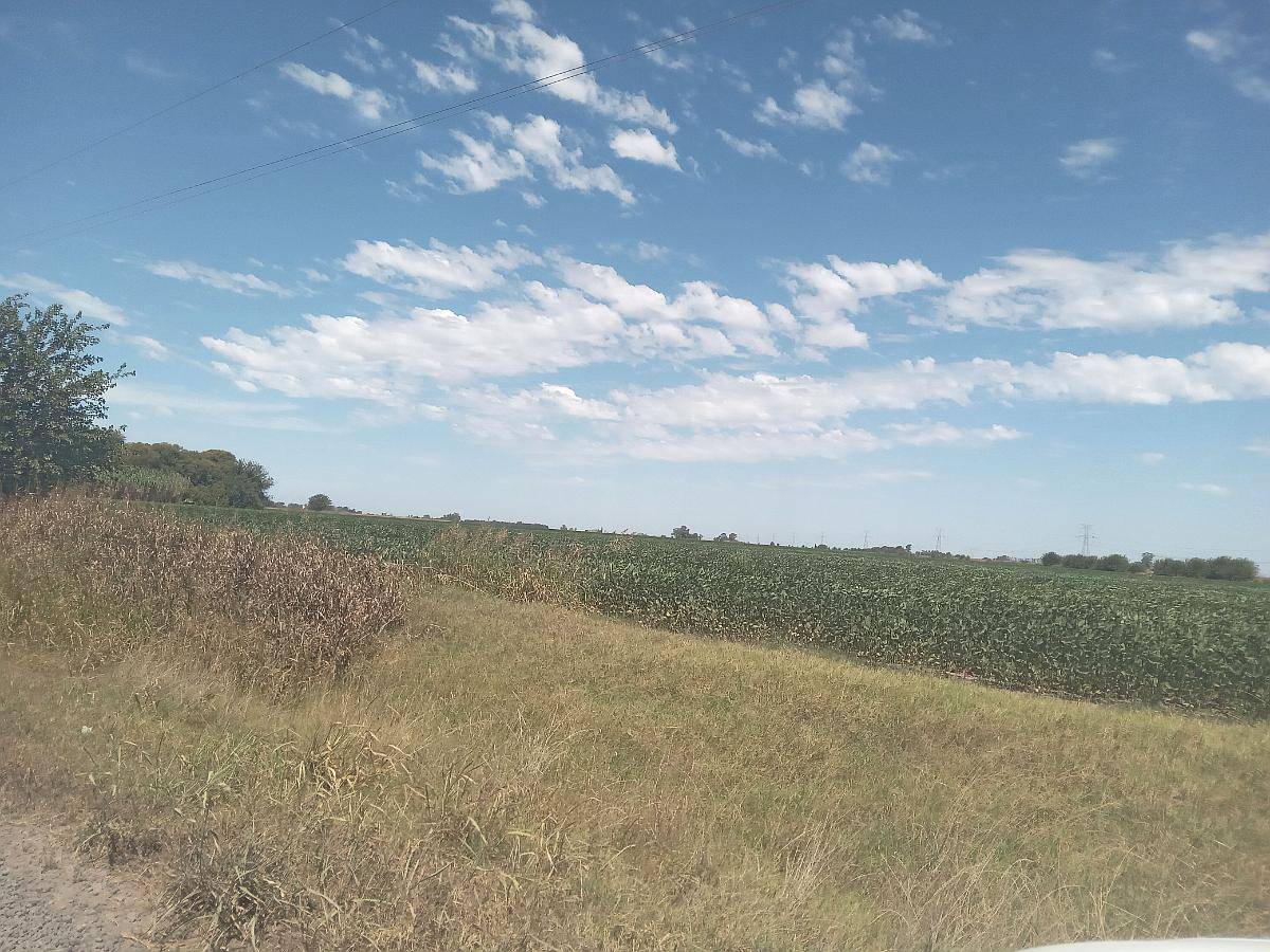 14 Has. Únicas en General Lagos Rosario