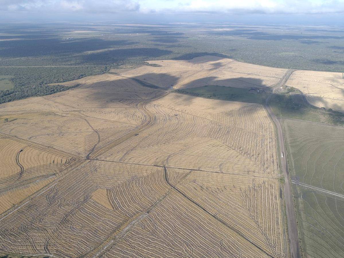 1.239 Has - en Venta - Federal - Entre Ríos