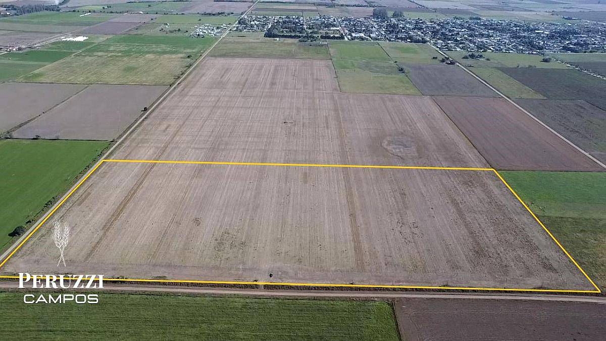 25 Has Agricolas en Humboldt. Suelo Clase 1 - IP 79%.