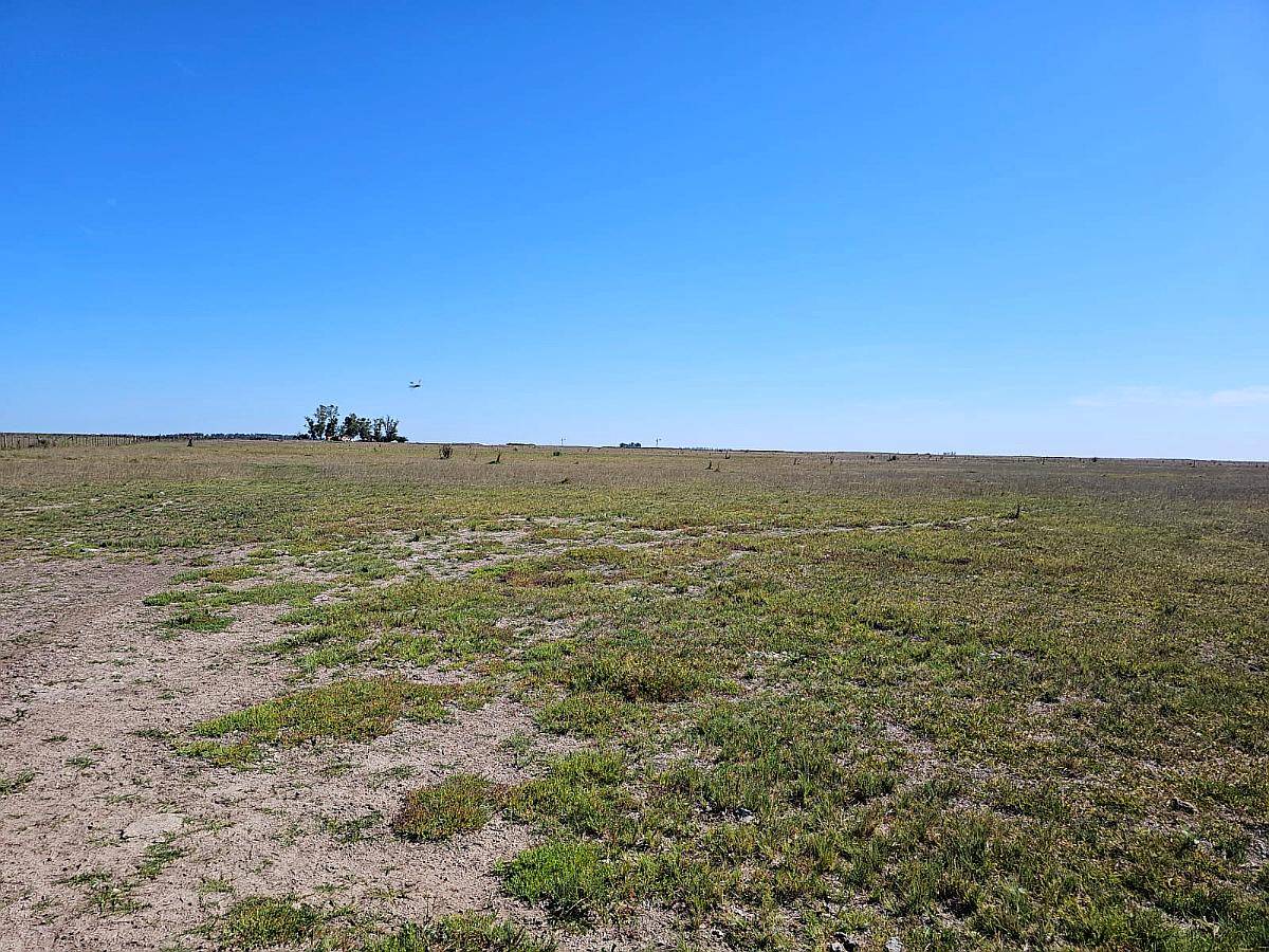 Campo Ganadero Venta 3000 Ha Saladillo