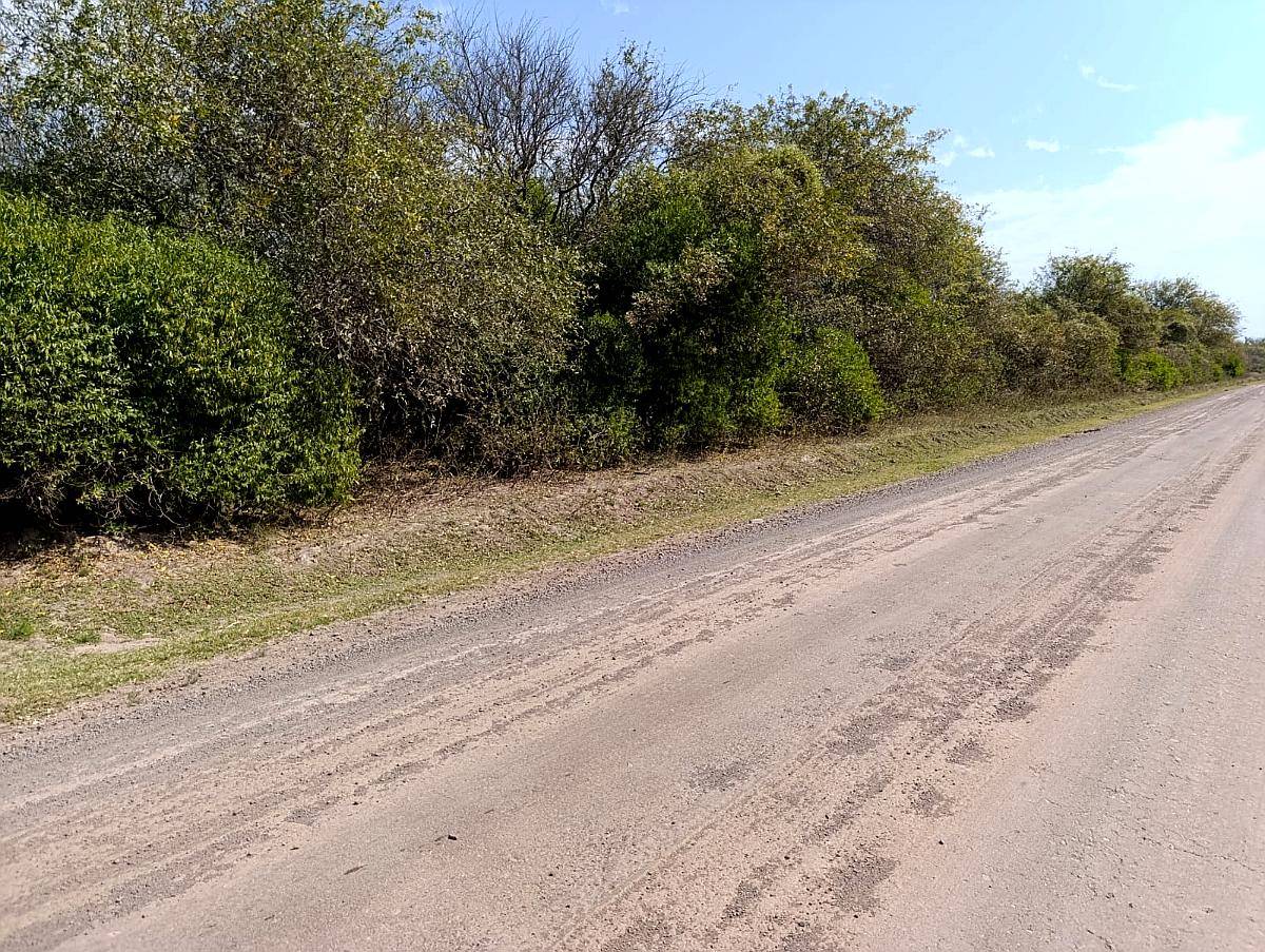 Vendo Campo Ganadero en la Pampa