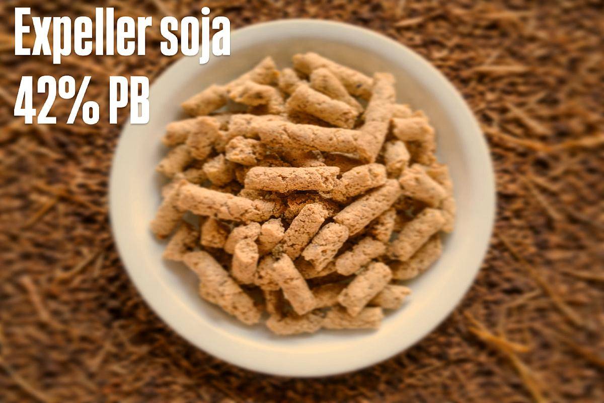 Expeller de Soja 42% PB