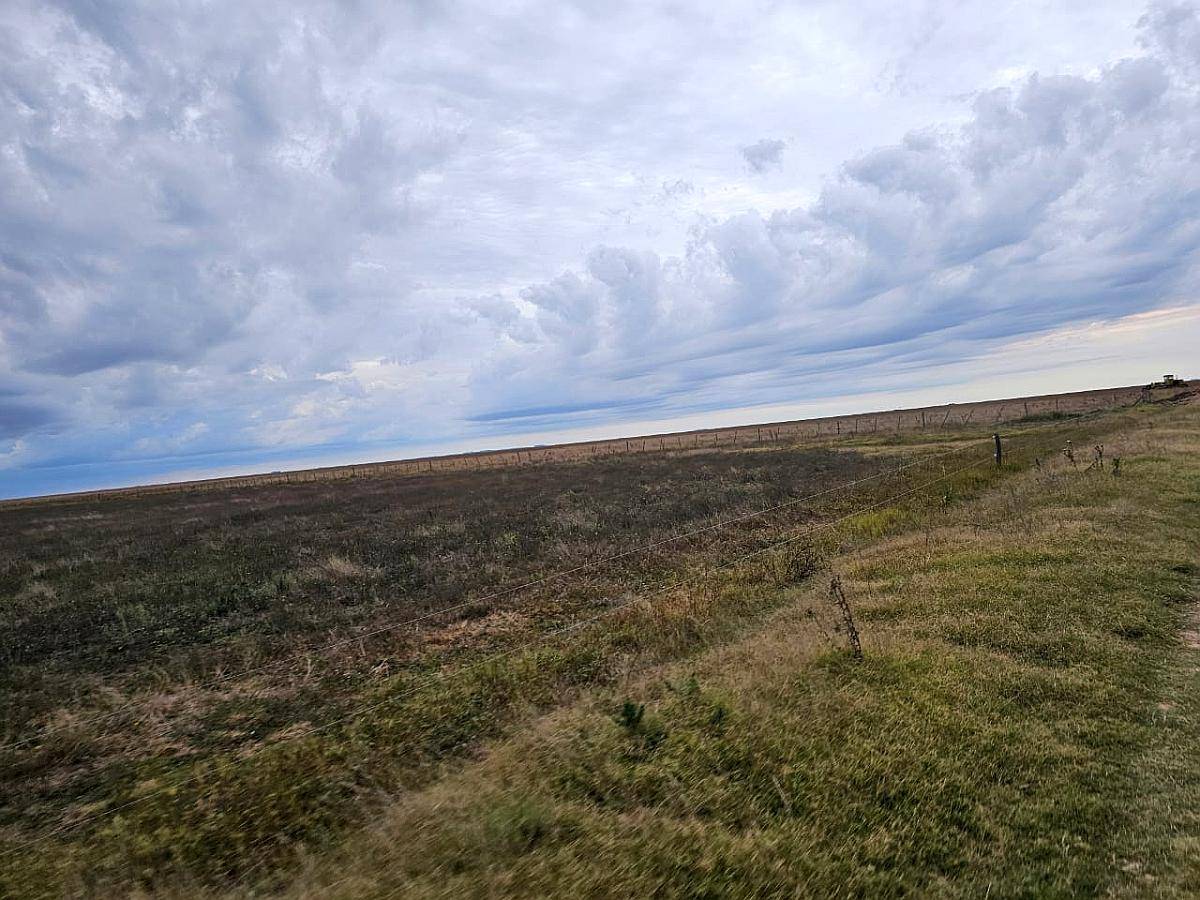 Campo Venta 300 Ha Mixtas Saladillo