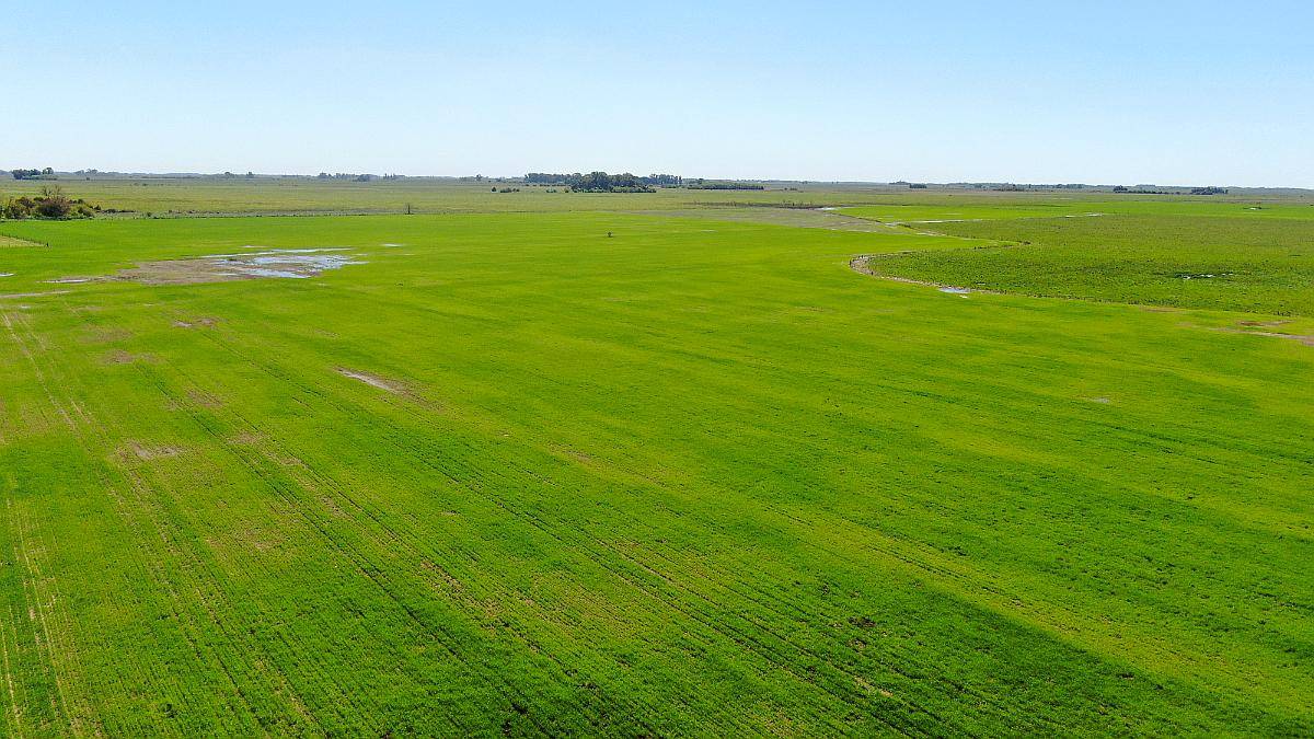 163 Has en Chascomús, Buenos Aires - Mixto - Venta