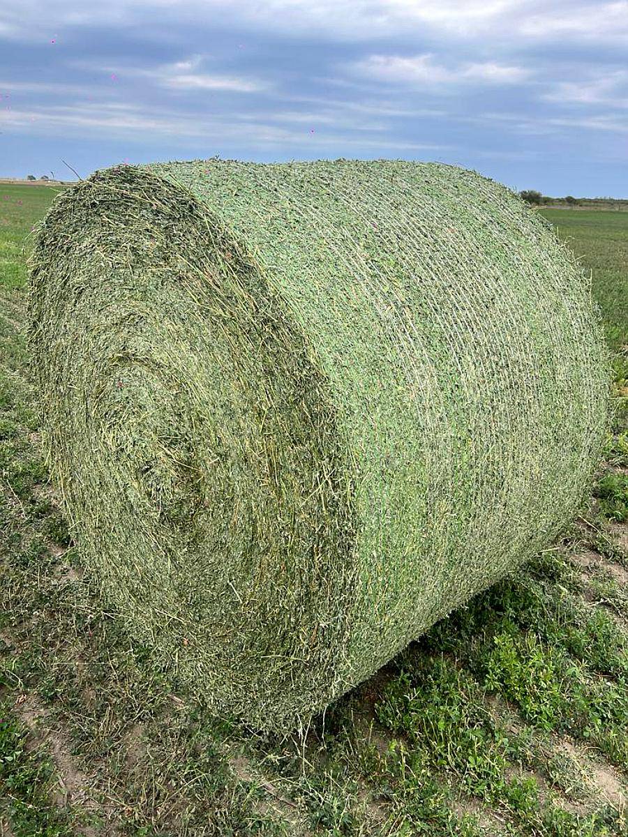 Rollos Alfalfa . .rollos Avena
