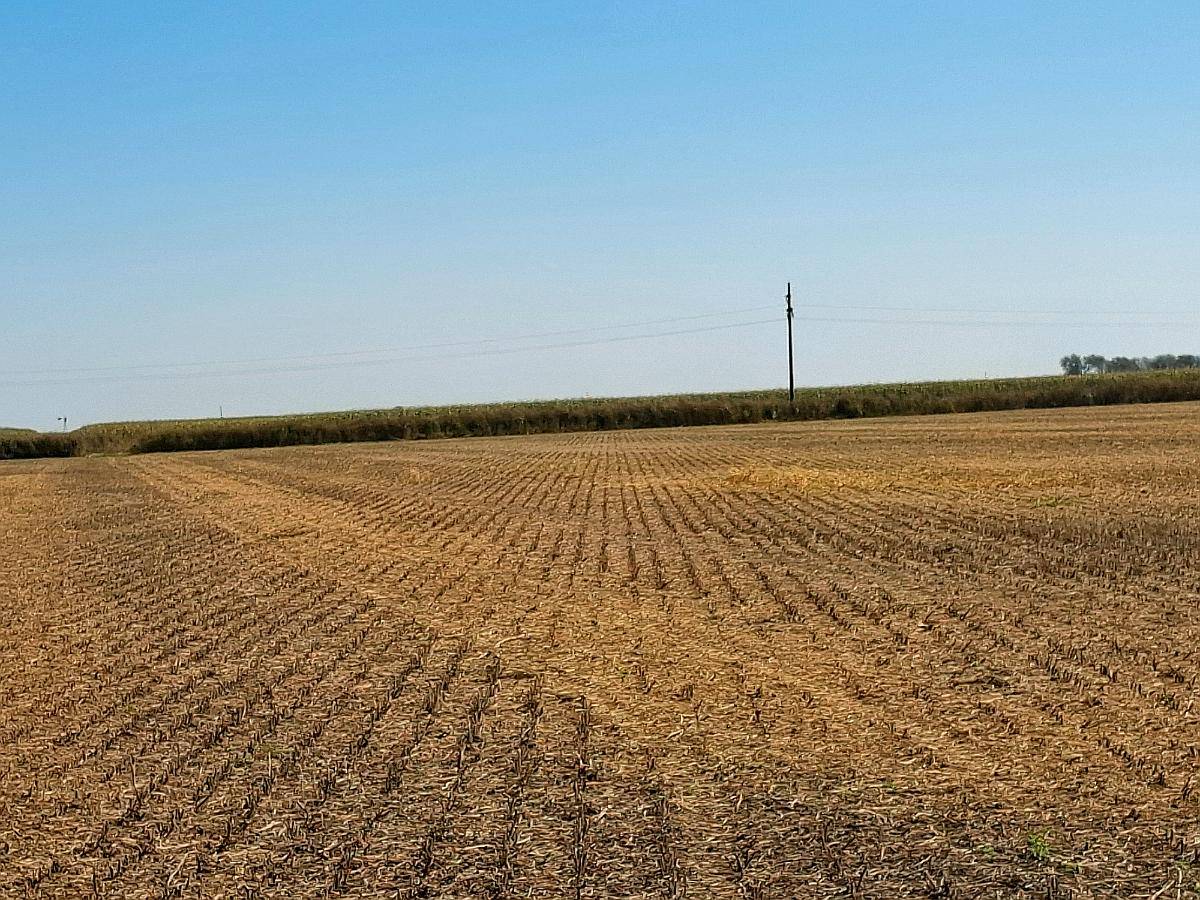 33 Ha SE Venden en Zona de Pilar( Santa FE)