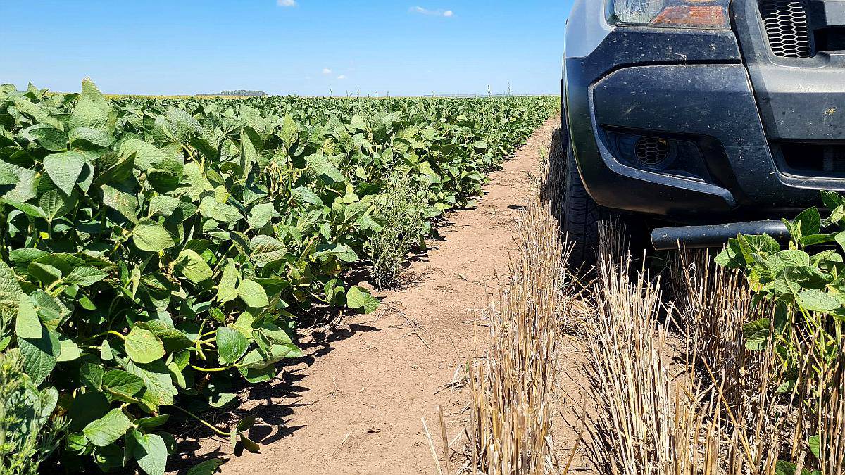 Vendo 500 Ha Villa Mercedes