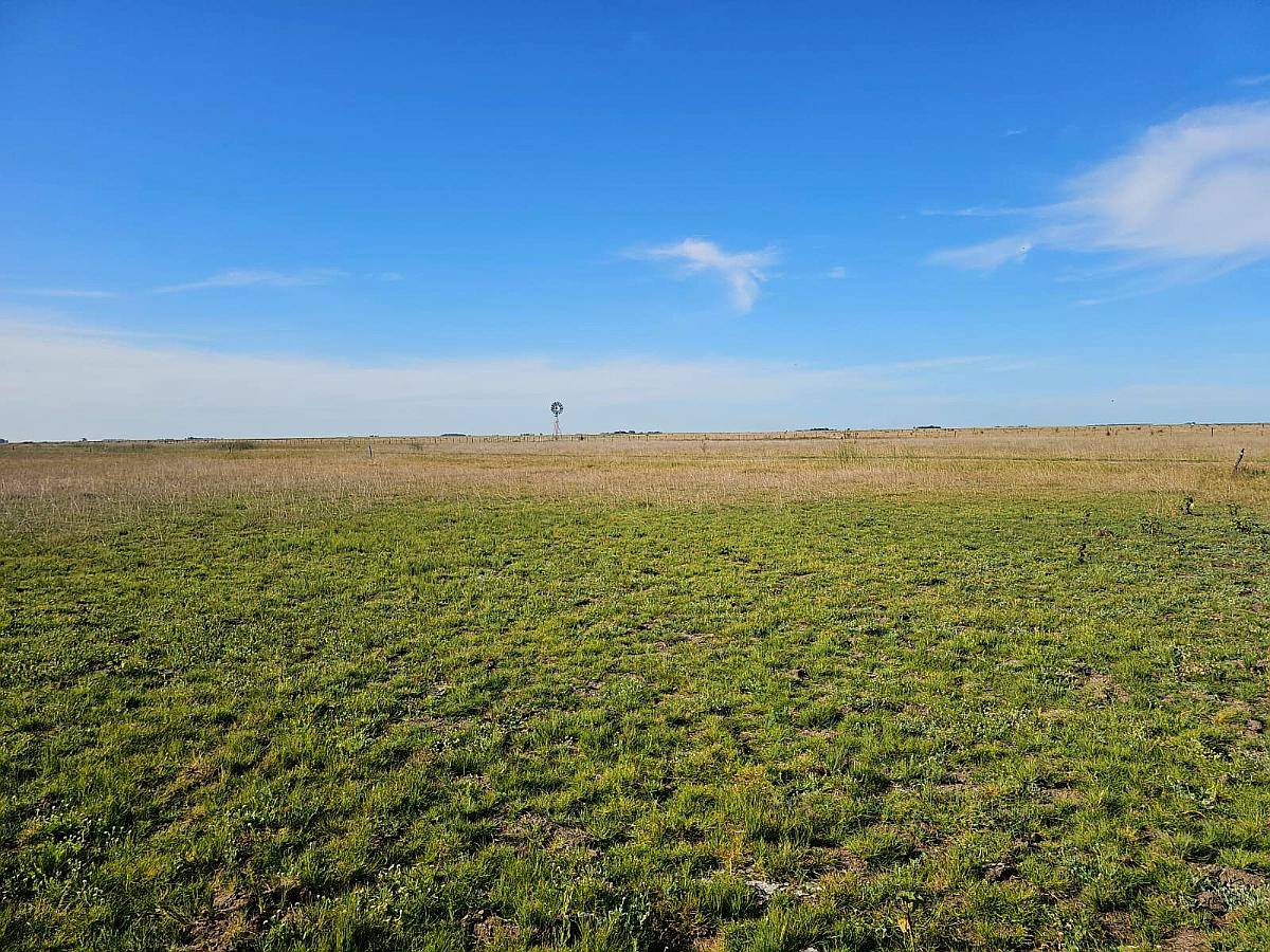 Campo Venta 120 Ha Ganaderas Saladillo