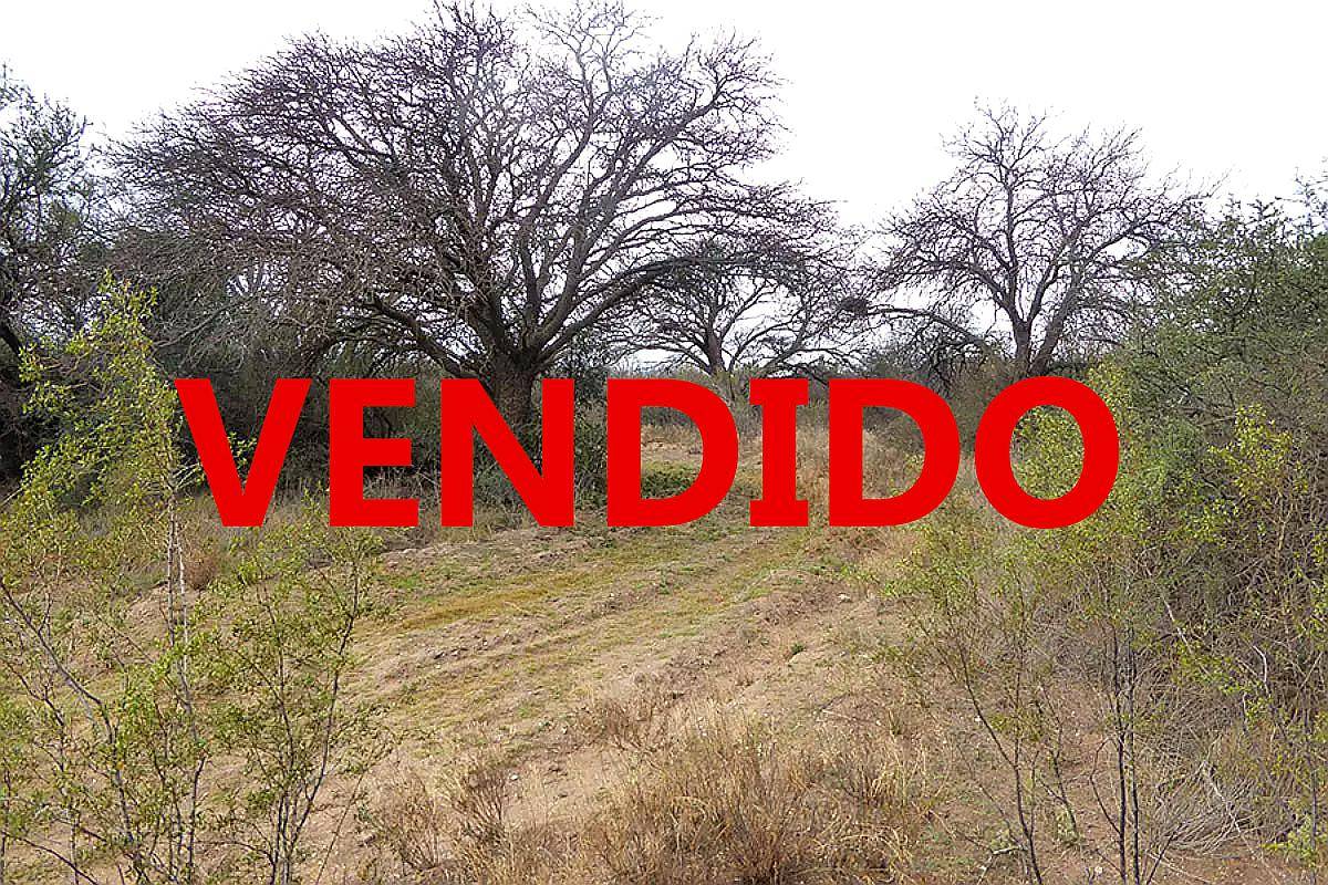 Campo de 1000 Has en Ruta 154, la Pampa
