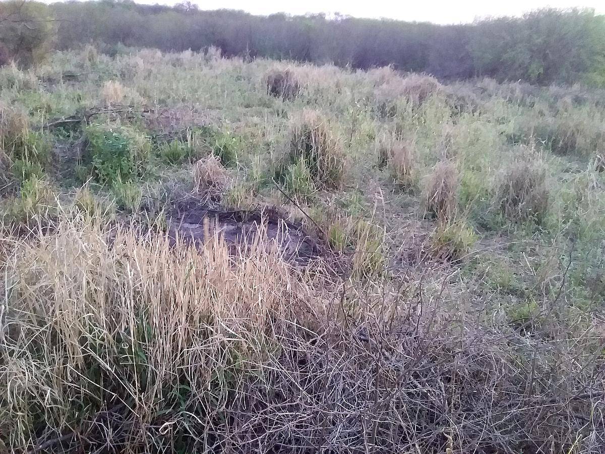 Vendo Campo Zona Inmejorable