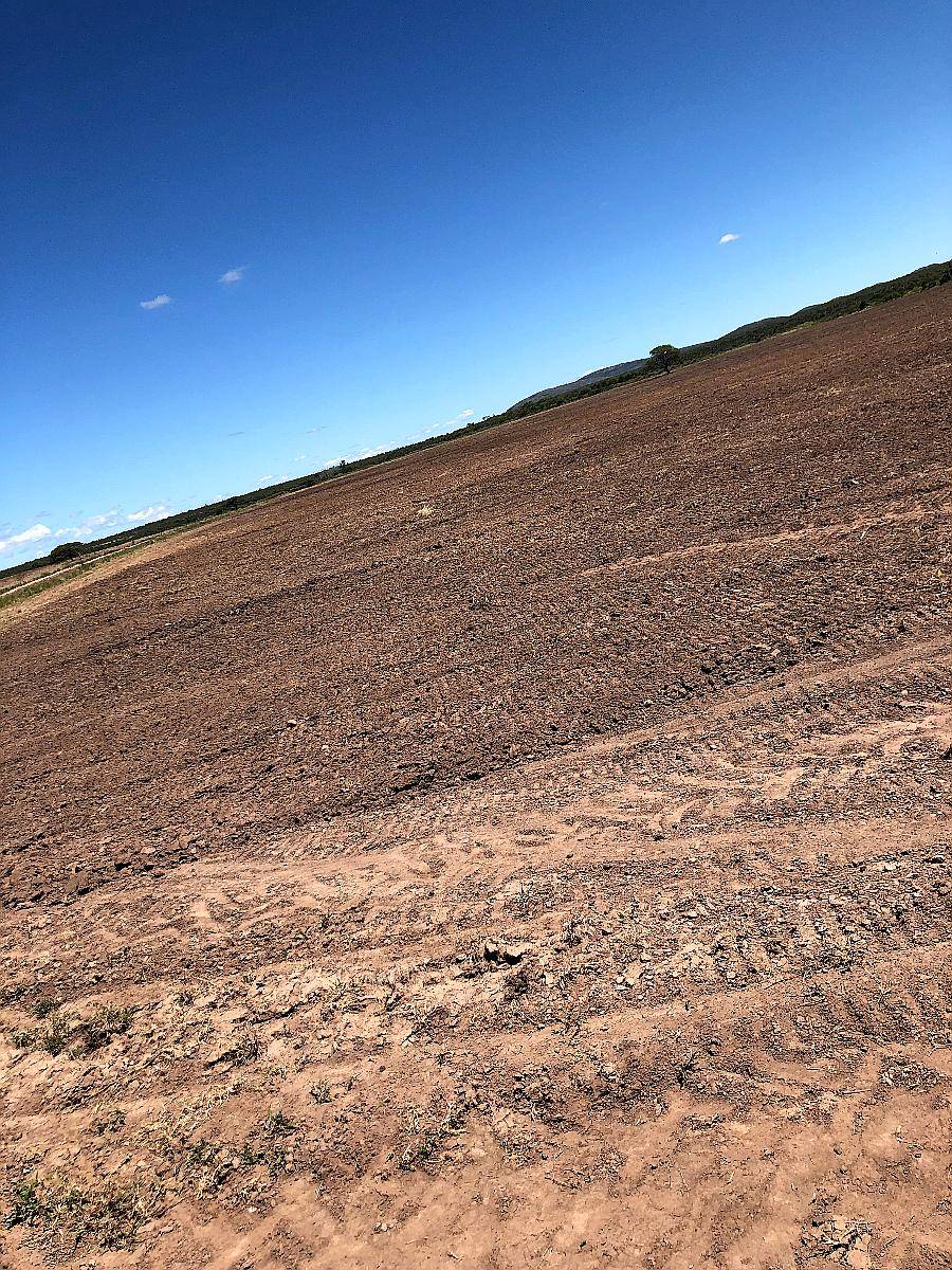 Vendo Campo en San Francisco del Chañar
