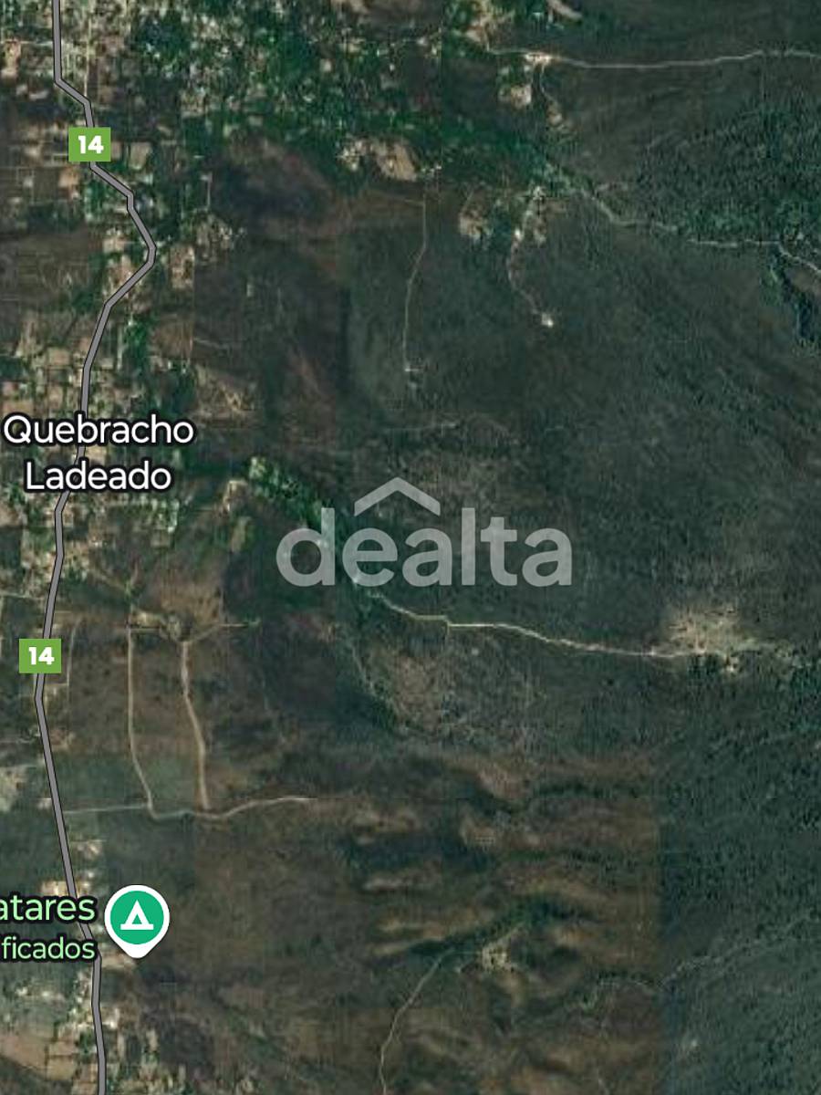 Chacra en Venta 22has (quebracho Ladeado)