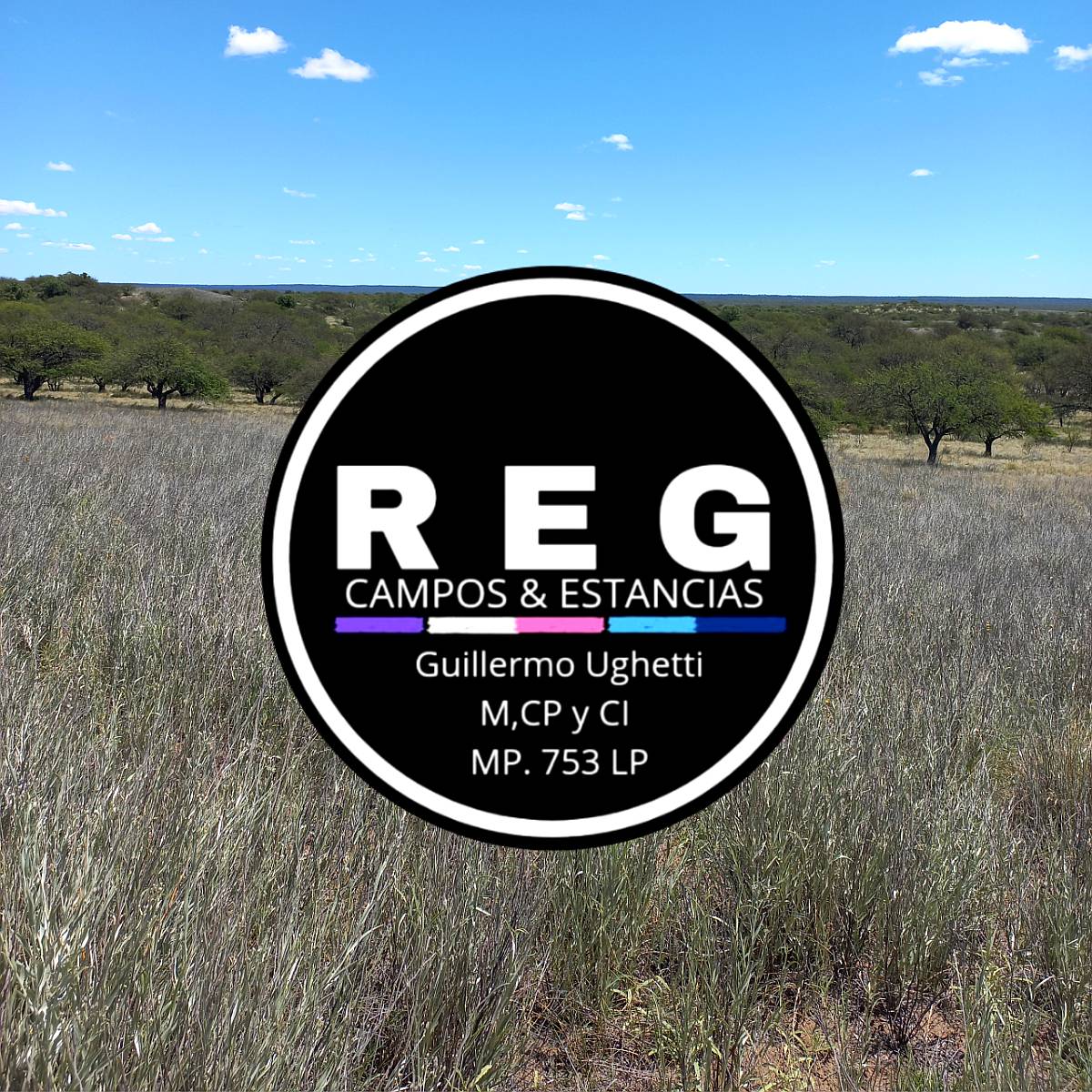 14000 Has - Campo Ganadero en la Pampa