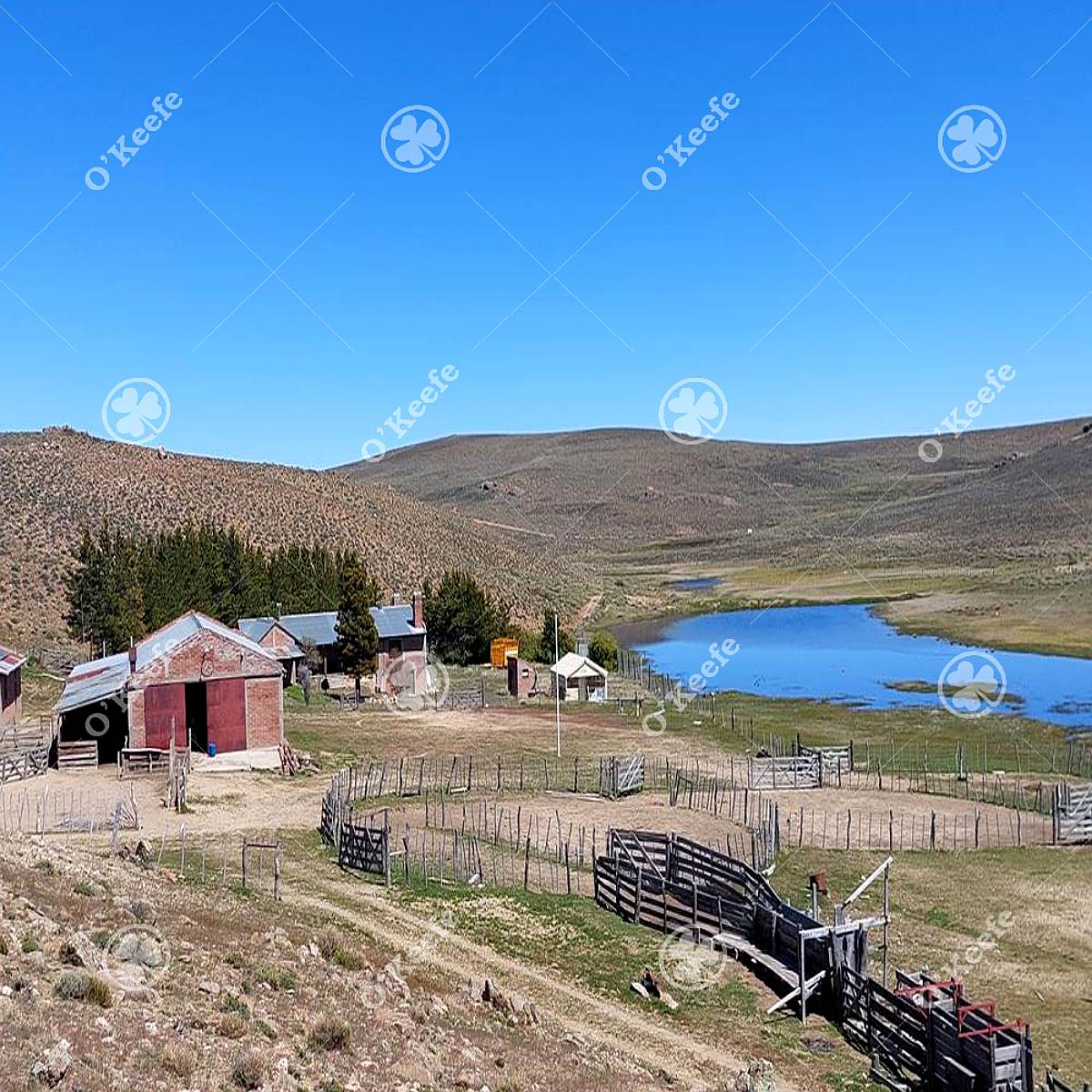 Campo en Venta de 4394 Has Comallo, Rio Negro