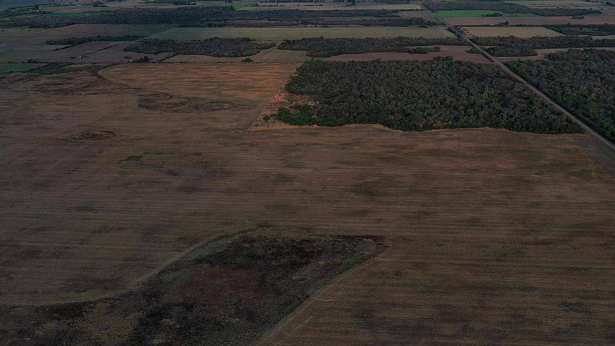 Chaco Roque Saenz Peña 290 Has Agrícolas