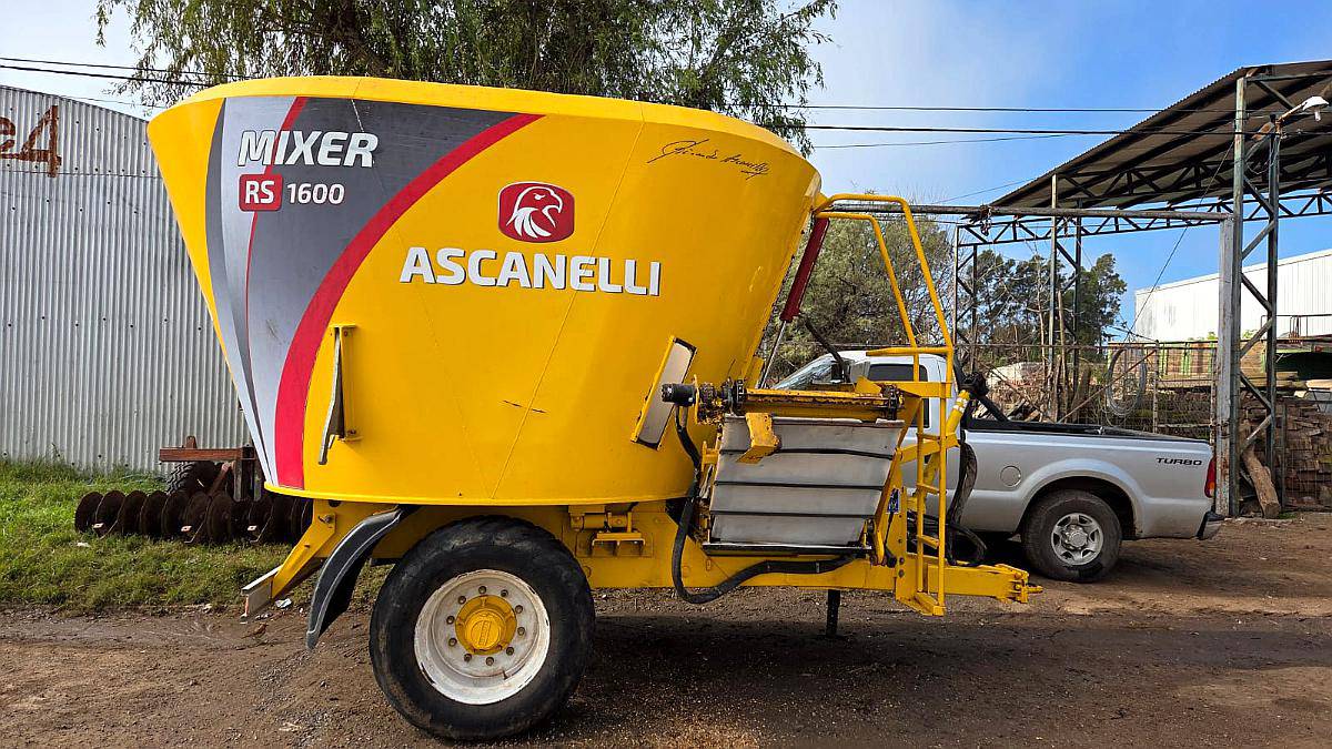 Mixer Vertical Ascanelli 14m3
