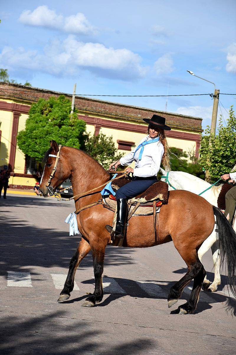 Yegua Criolla. Inscripta en Sociedad Rural Argentina