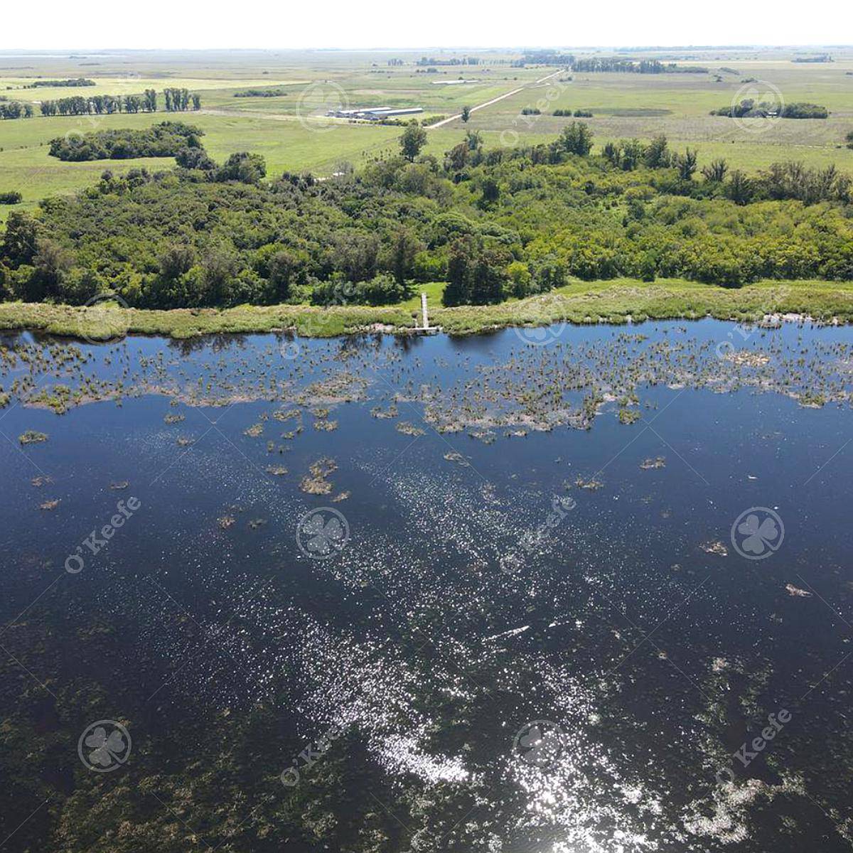 530 Has en Lezama - Hermosas Vistas a la Laguna