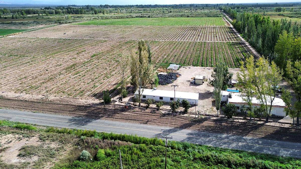 Finca con D° Riego, Pozo y Goteo. Excelente Ubicación
