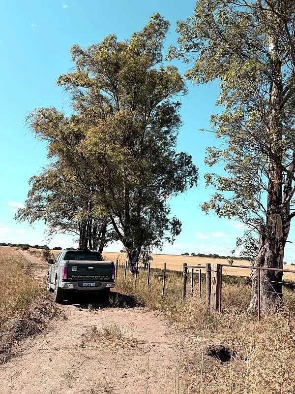 212 Ha Algarrobo Sobre Ruta 22