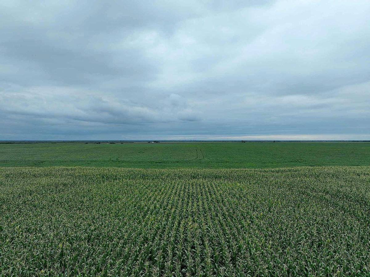 Pcia. de Catamarca - Bañado de Ovanta 437 Ha