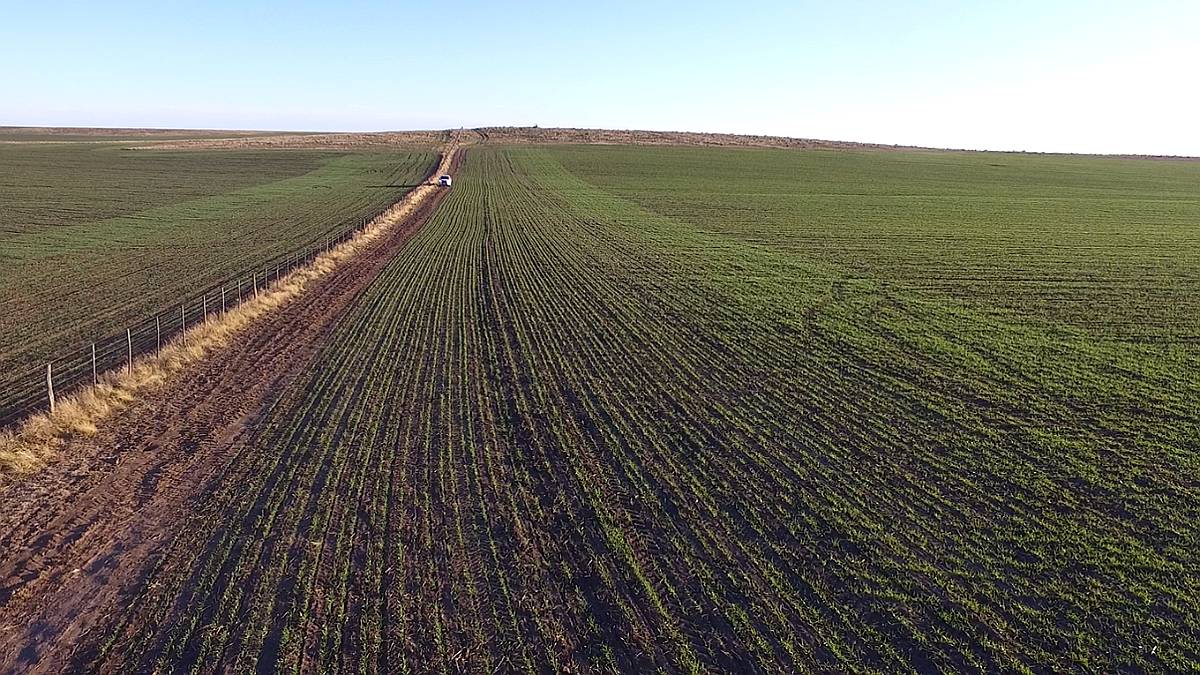 Campo Mixto 680 Has – Coronel Dorrego – Buenos Aires