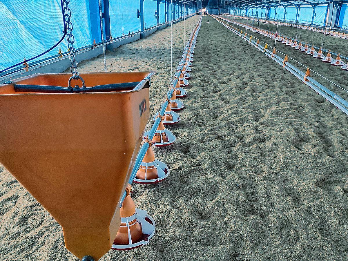 Fabricantes de Implementos Avícolas