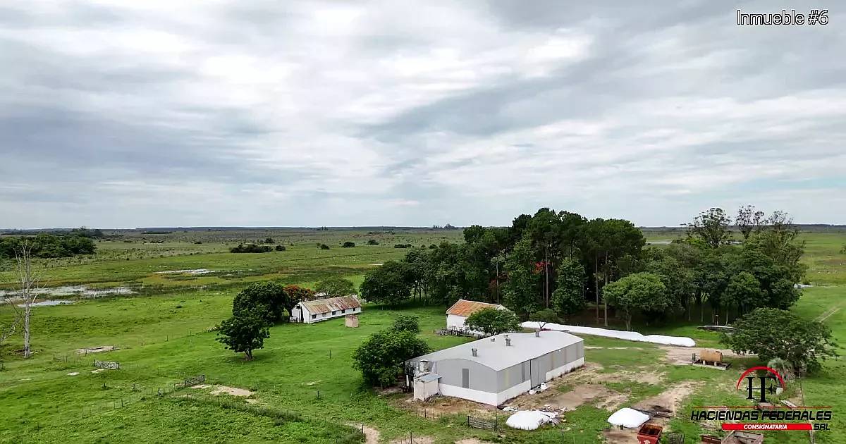 Excelente Campo Ganadero - Forestal Zona Saladas, Corrientes