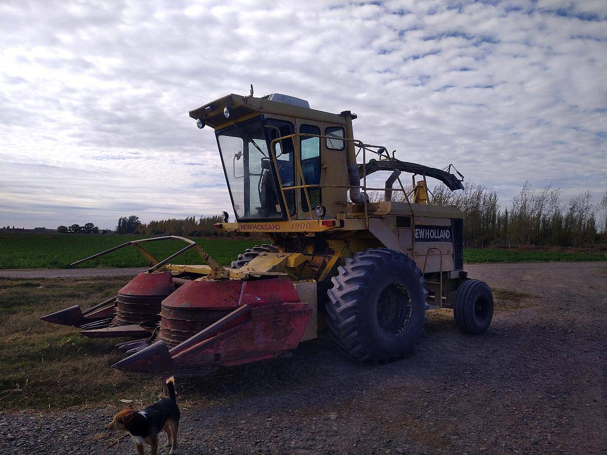 Picadora New Holland 1900
