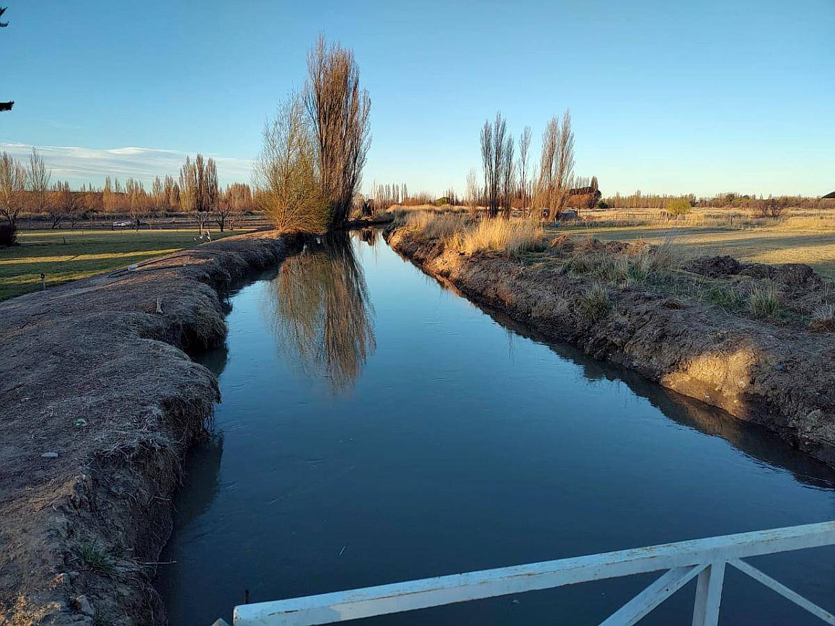 Chacra Zona Gaiman Chubut 36 Ha con Casa