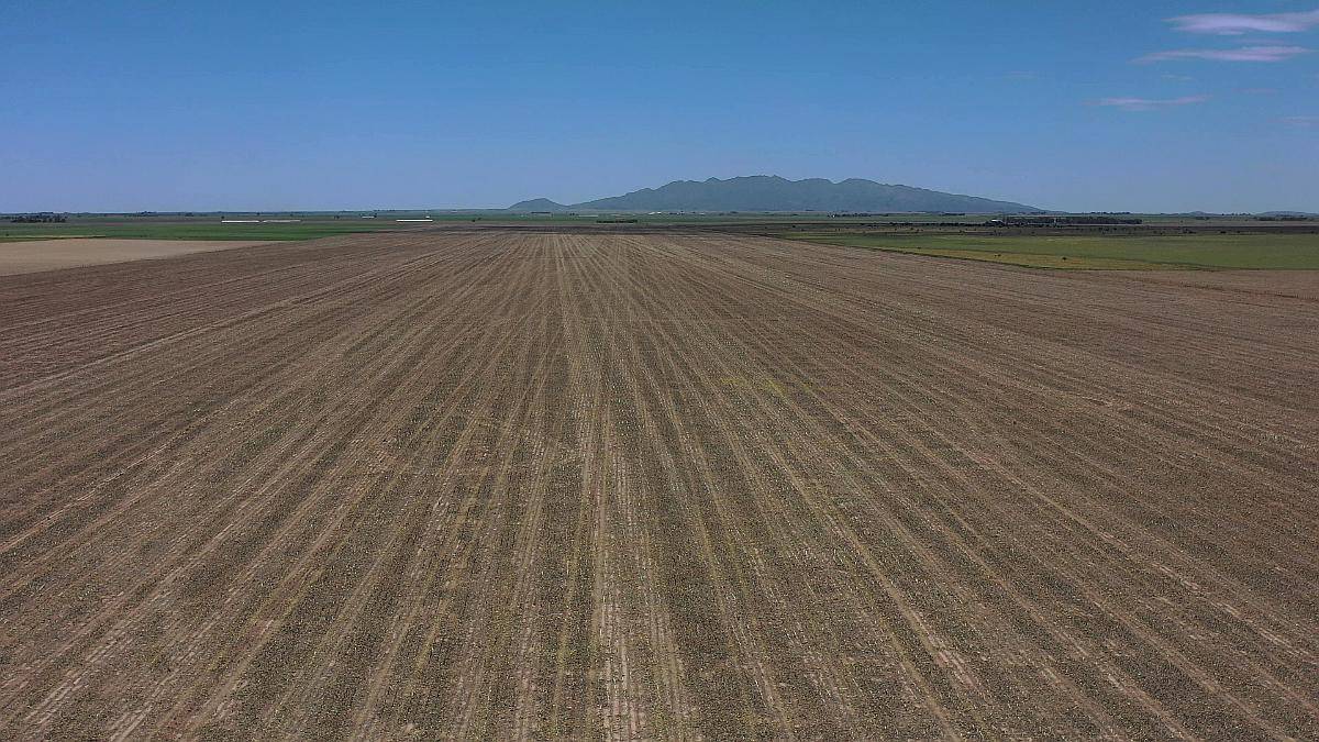 San Luis Naschel 160 Has Agrícolas