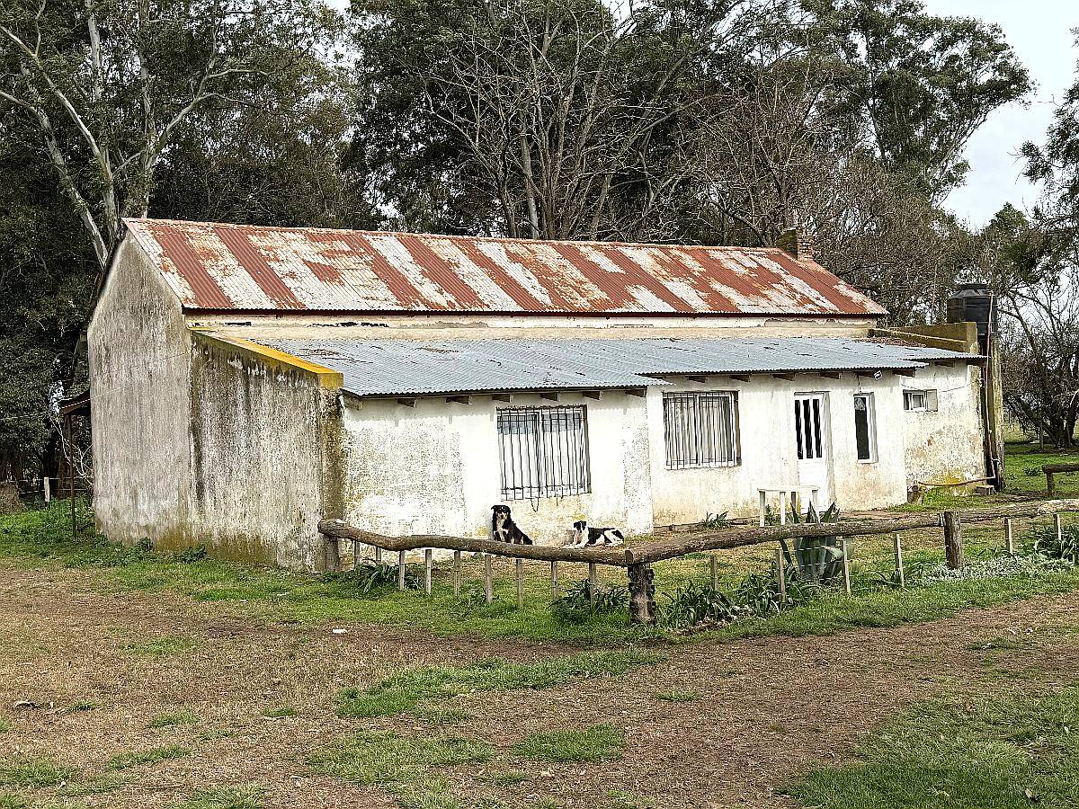 300 Hectáreas Ganaderas, Próximas a Maipu.