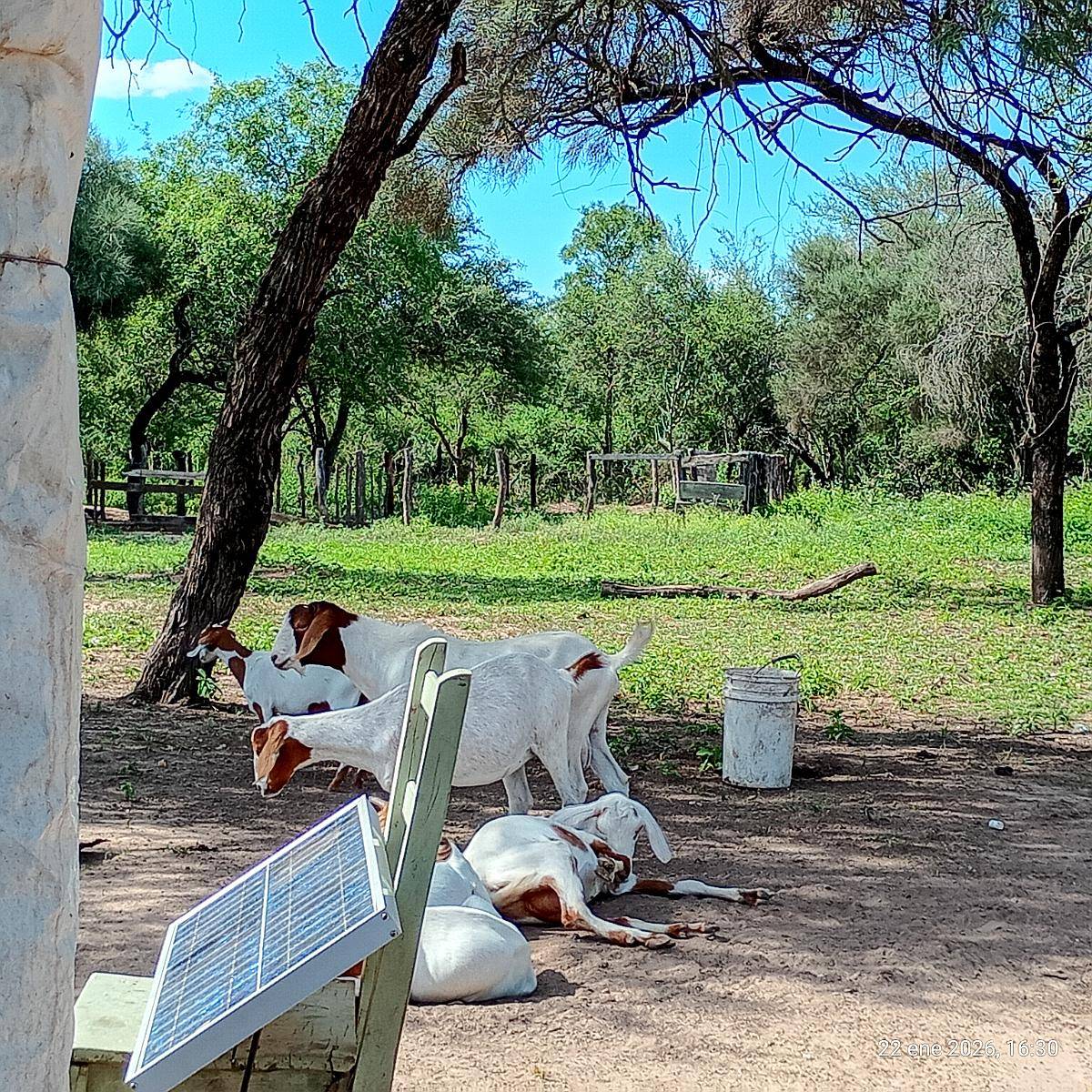 Zona General Guemes Chaco