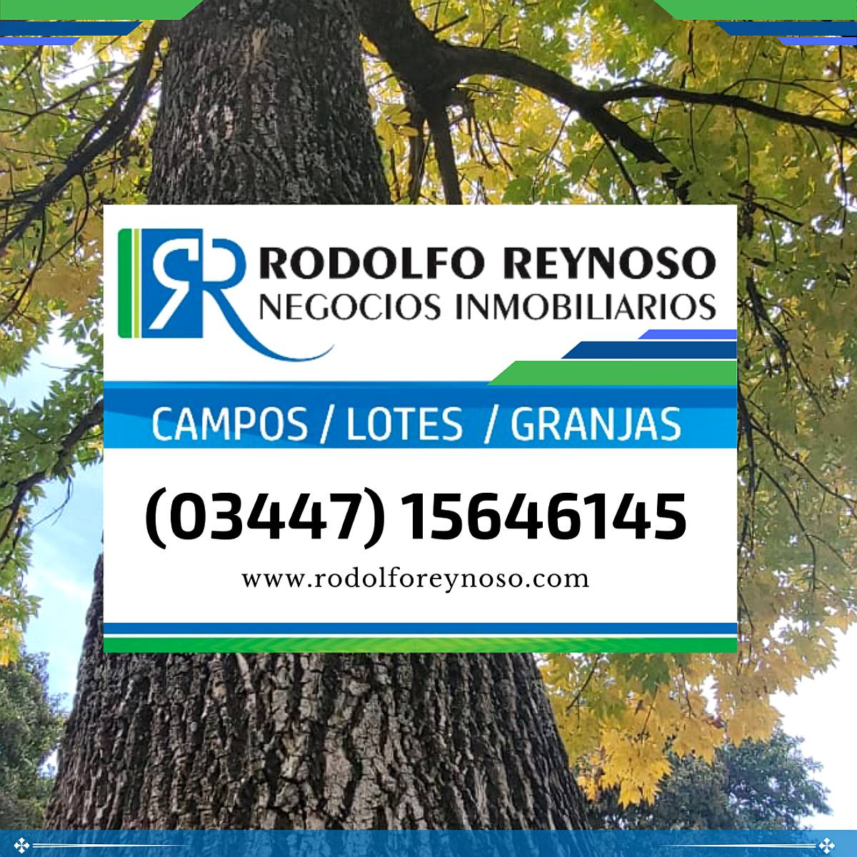 3.5 Ha en Zona Termas - Villa Elisa