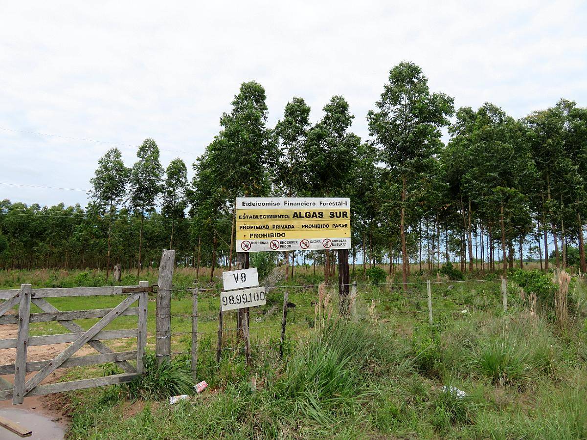 Villa Olivari - 850 Ha - Corrientes
