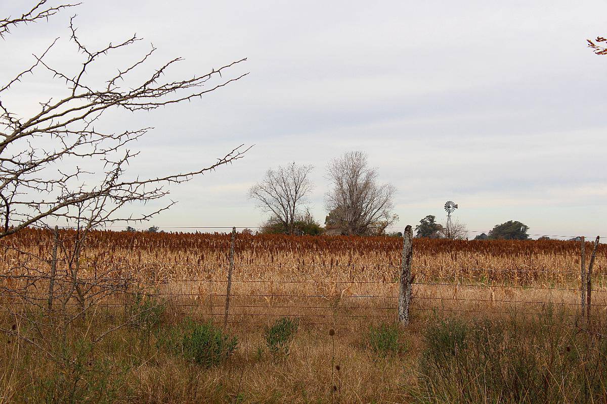 Campo Agrícola-ganadero en Marcos PAZ