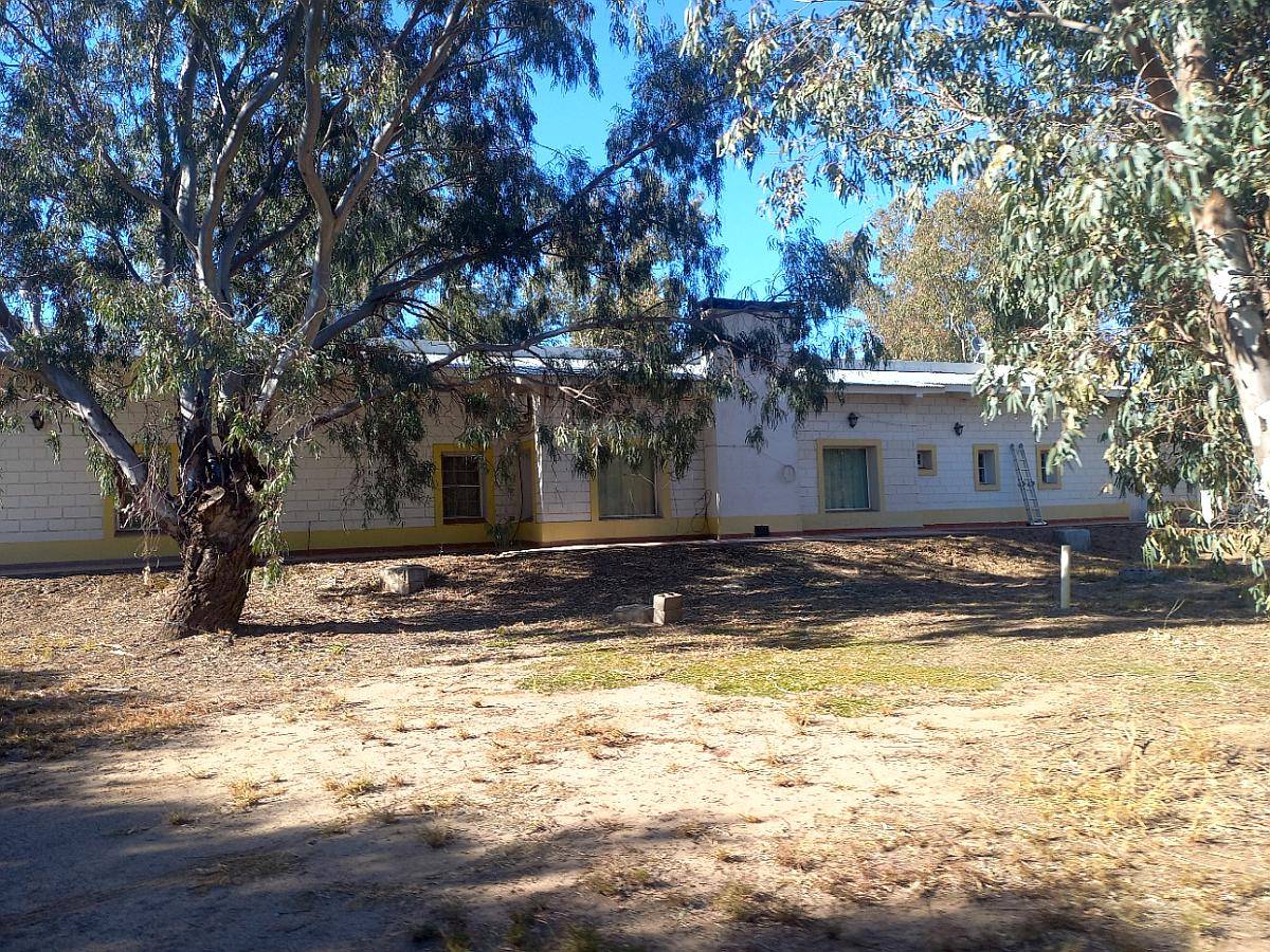 Campo con Fabrica de Aceite de Oliva en Catamarca