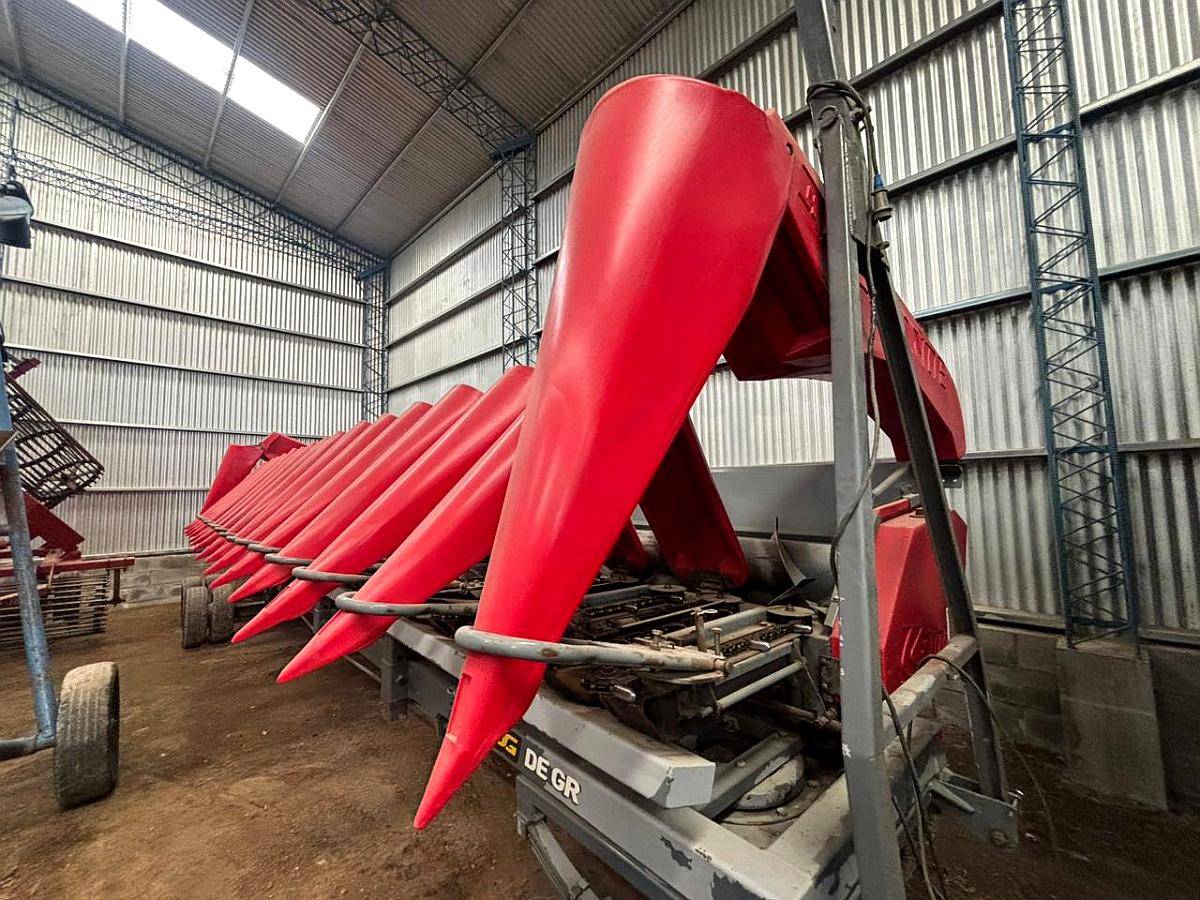 Maicero de Grande 1652 - Excelente Estado