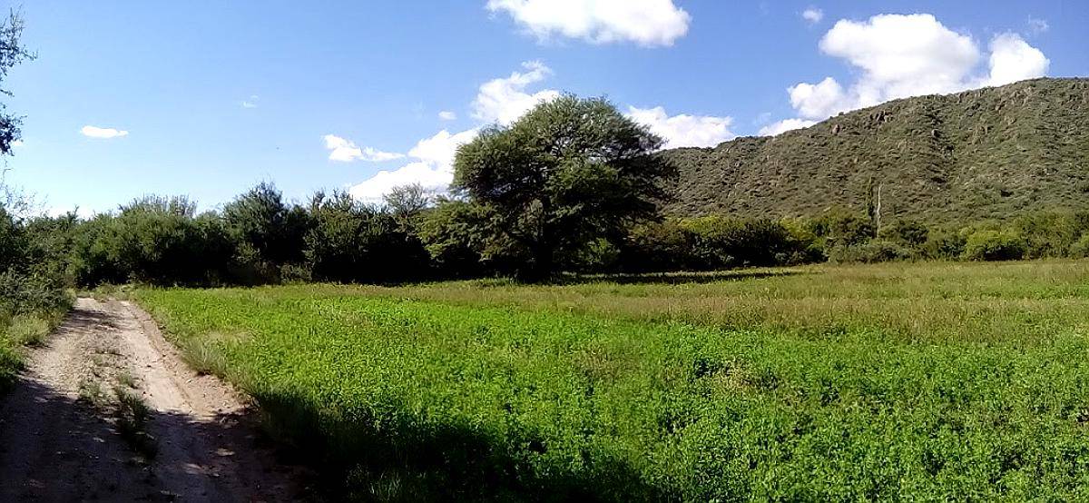 Campo 78 Hects, al PIE de las Sierras de San Luis, Paisajes