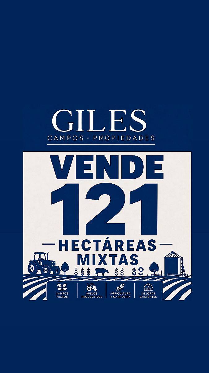 Campo Mixto 121 Hectáreas San Pedro BS AS