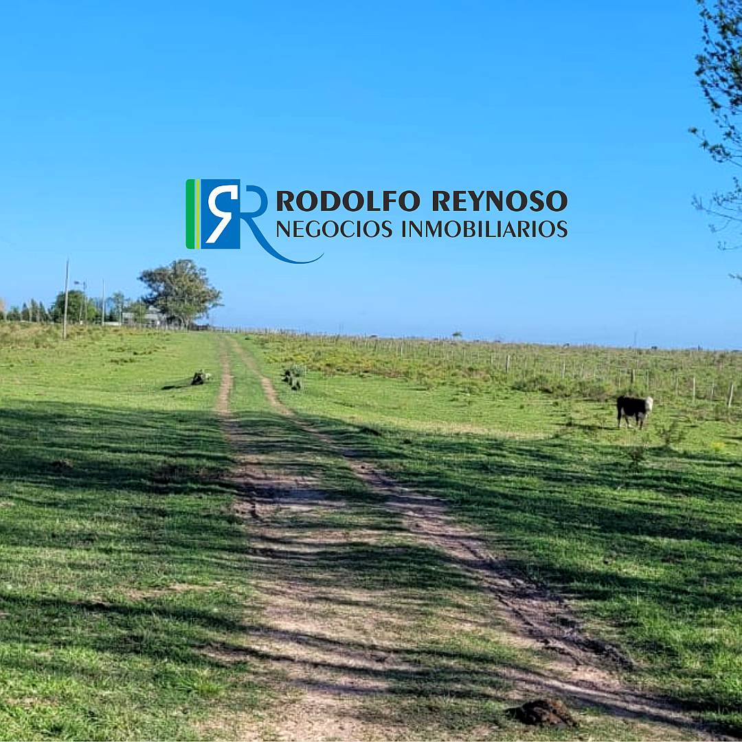 85 HA. Agrícolas en Cnia. Elía. Entre Ríos