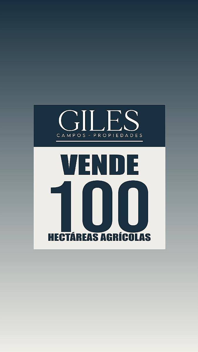 Oportunidad 100 Hectáreas Agricolas